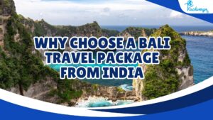Bali Travel Package from India