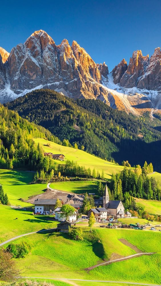 acb4d9173d8ab5d1e59d3b4583bcf0fe