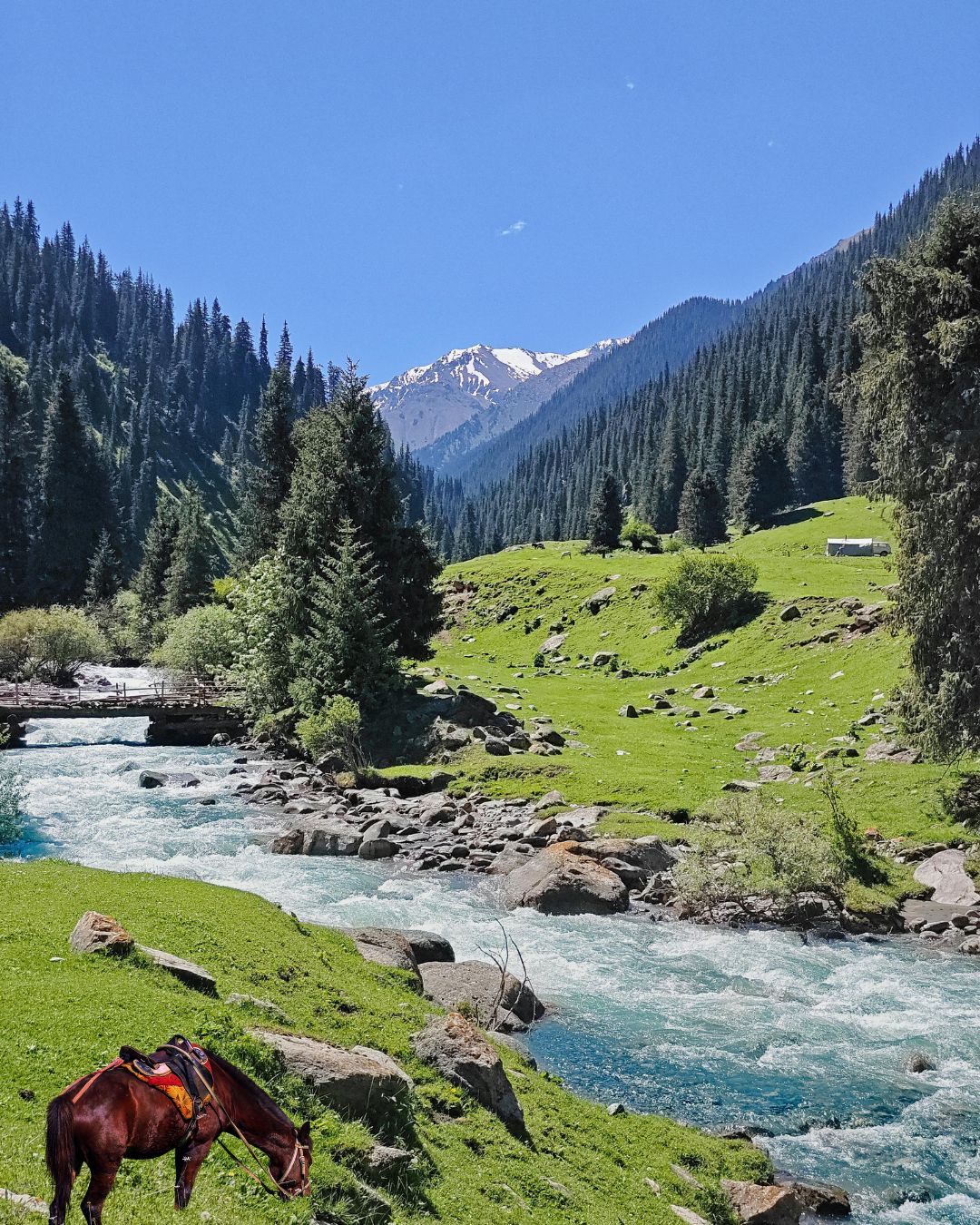 kashmir